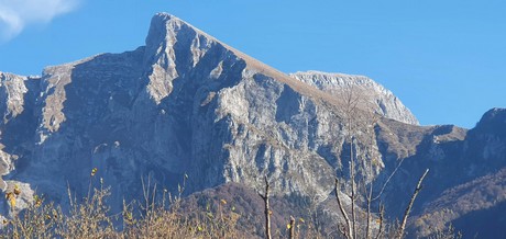 20201108_112959